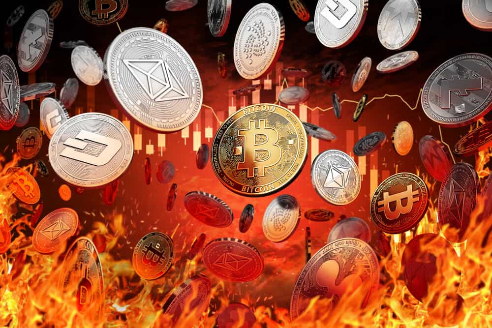 the cryptocurrency crash